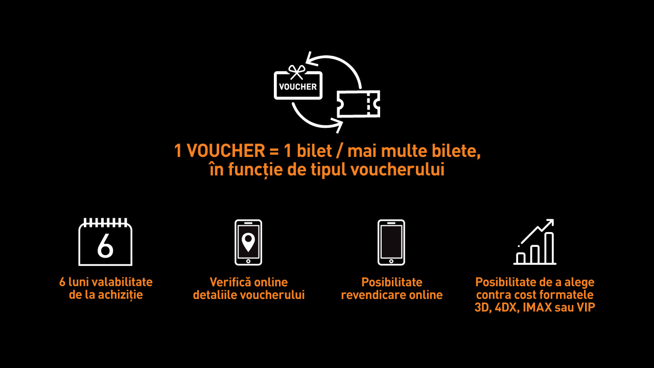 detalii voucher