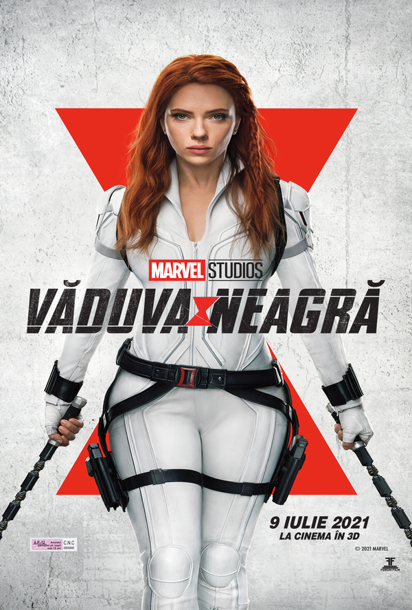 Vaduva neagra poster