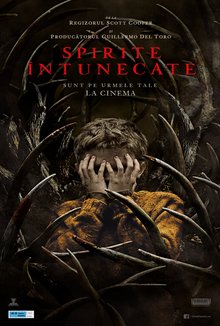 Spirite intunecate poster