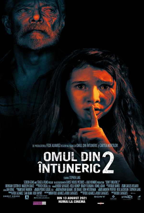 Omul din intuneric 2 poster
