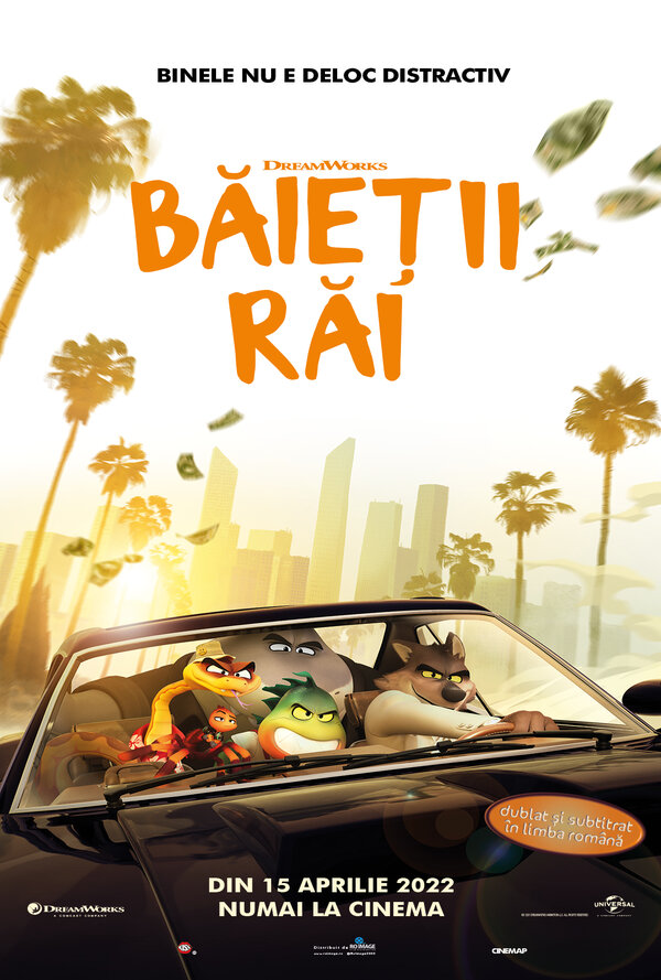 Baietii rai poster