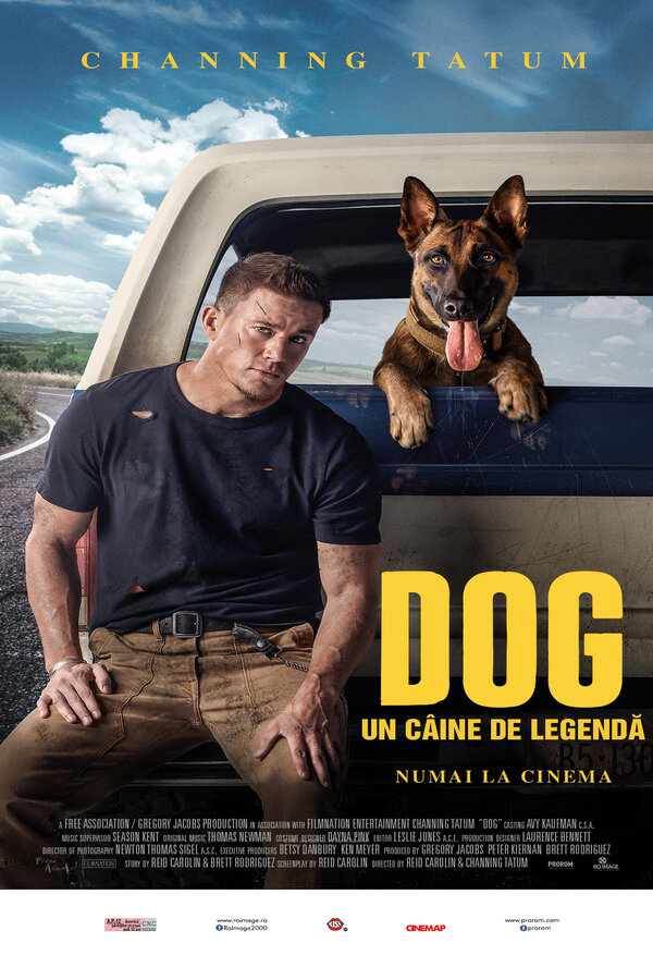 Dog. Un caine de legenda poster