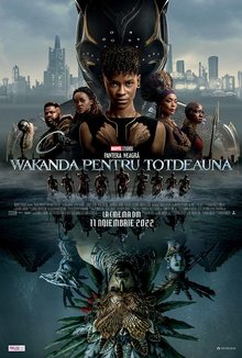Pantera Neagra: Wakanda pentru totdeauna poster