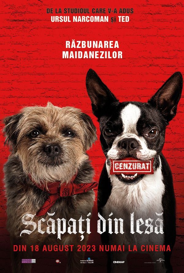 Scapati din lesa poster