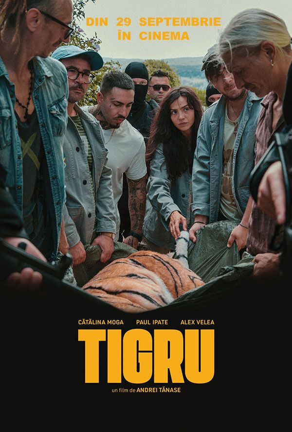 Tigru poster