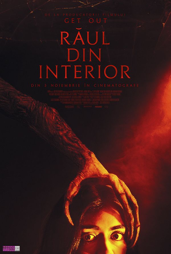 Raul din interior poster