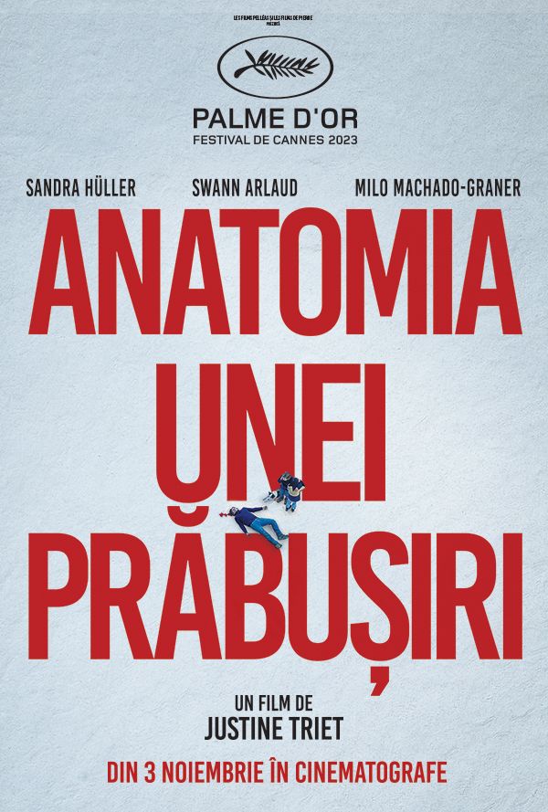 Anatomia unei prabusiri poster