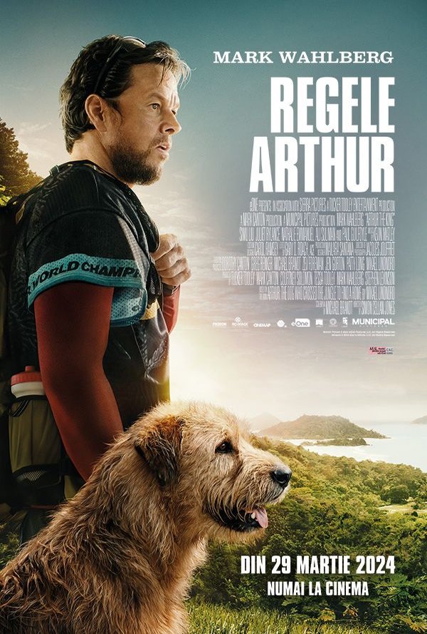 Regele Arthur poster