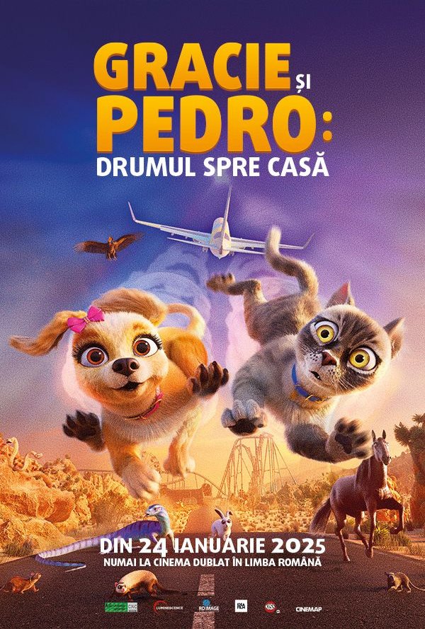 Gracie si Pedro: Drumul spre casa poster