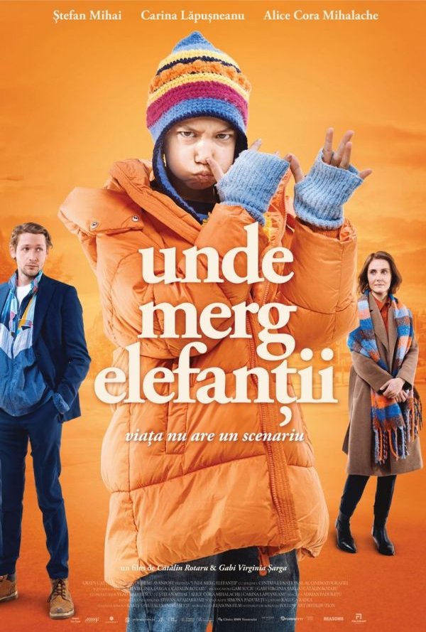 Unde merg elefantii poster