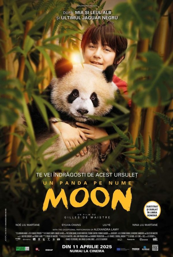 Un panda pe nume Moon poster