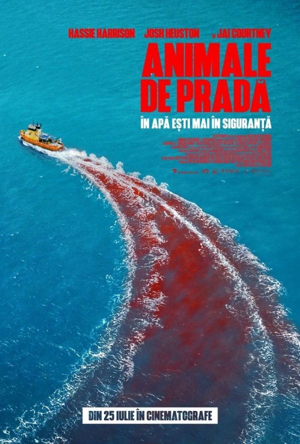 Animale de prada poster