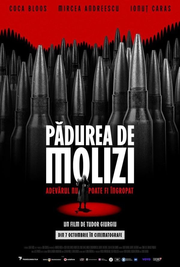 Padurea de molizi poster